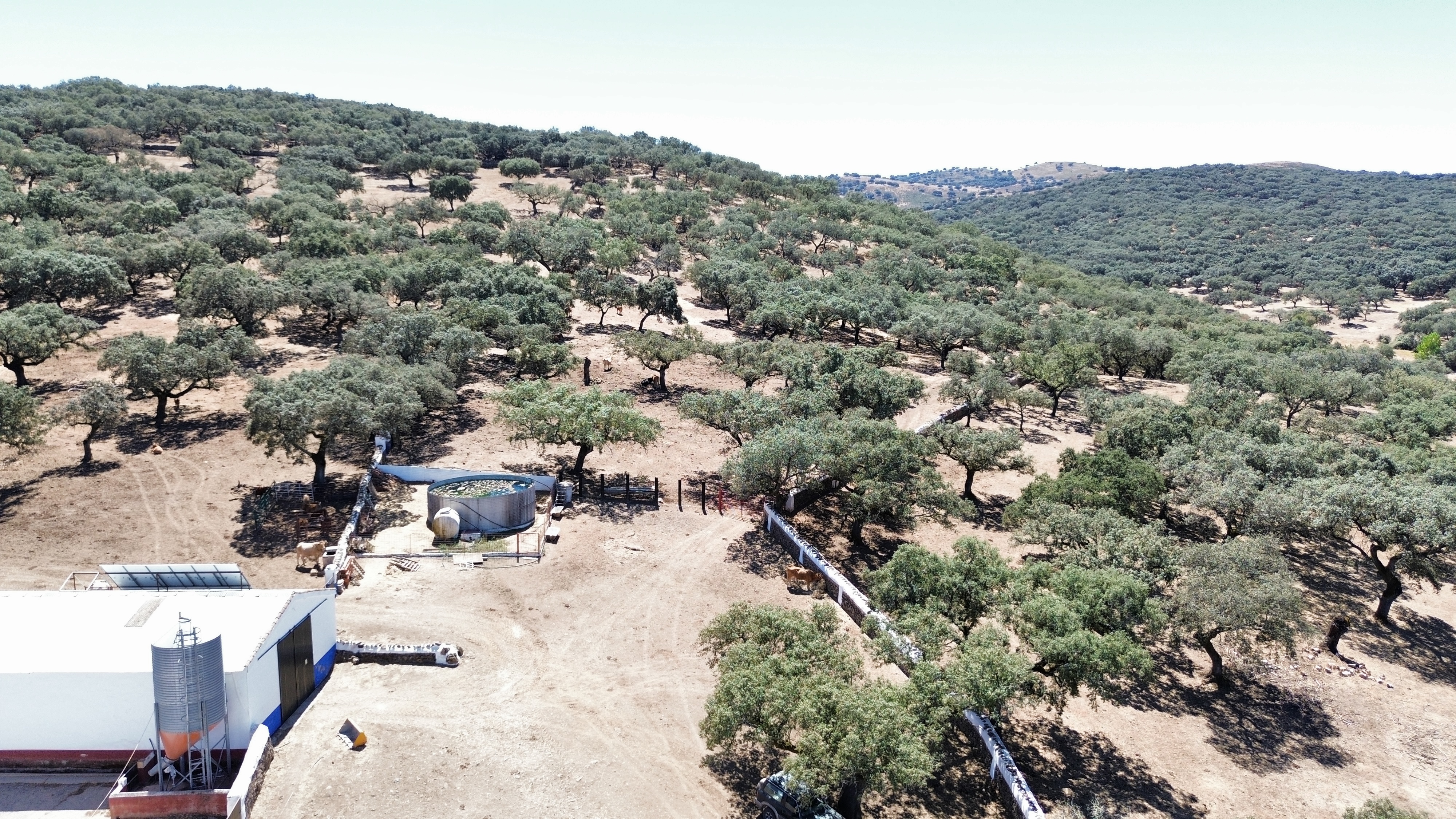 CERRO BUREJO — Exteriores 28