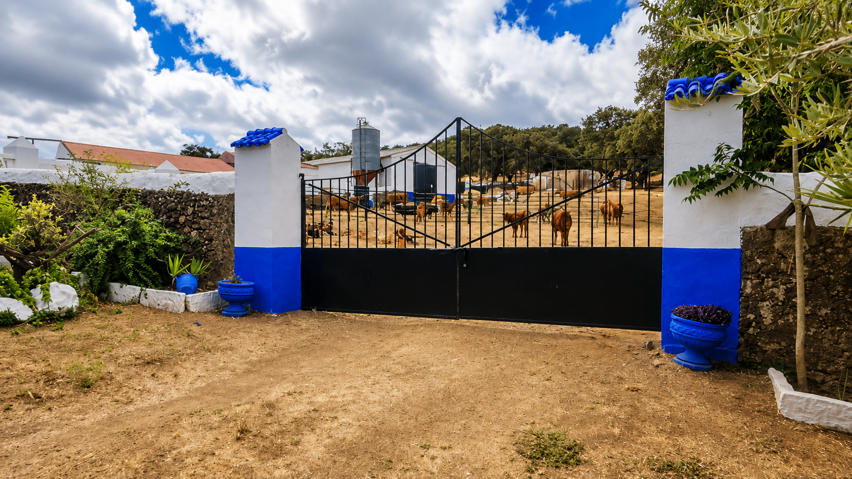 CERRO BUREJO — Exteriores 14
