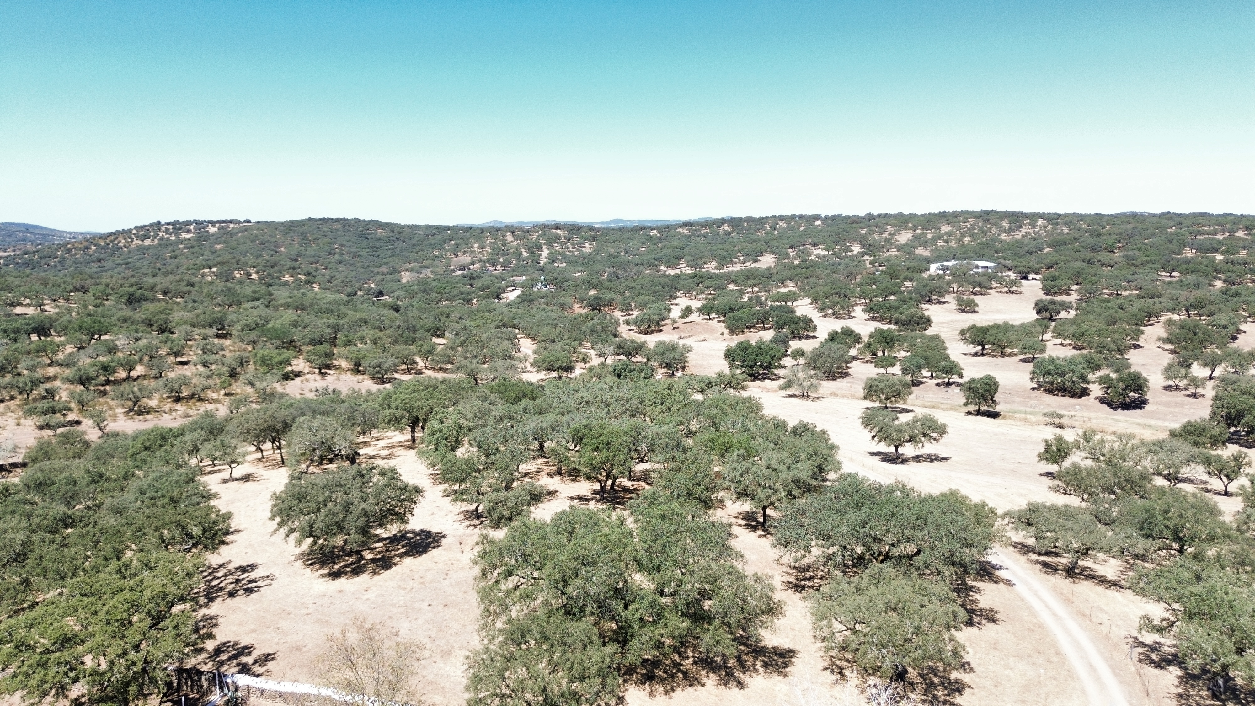 CERRO BUREJO — Exteriores 27