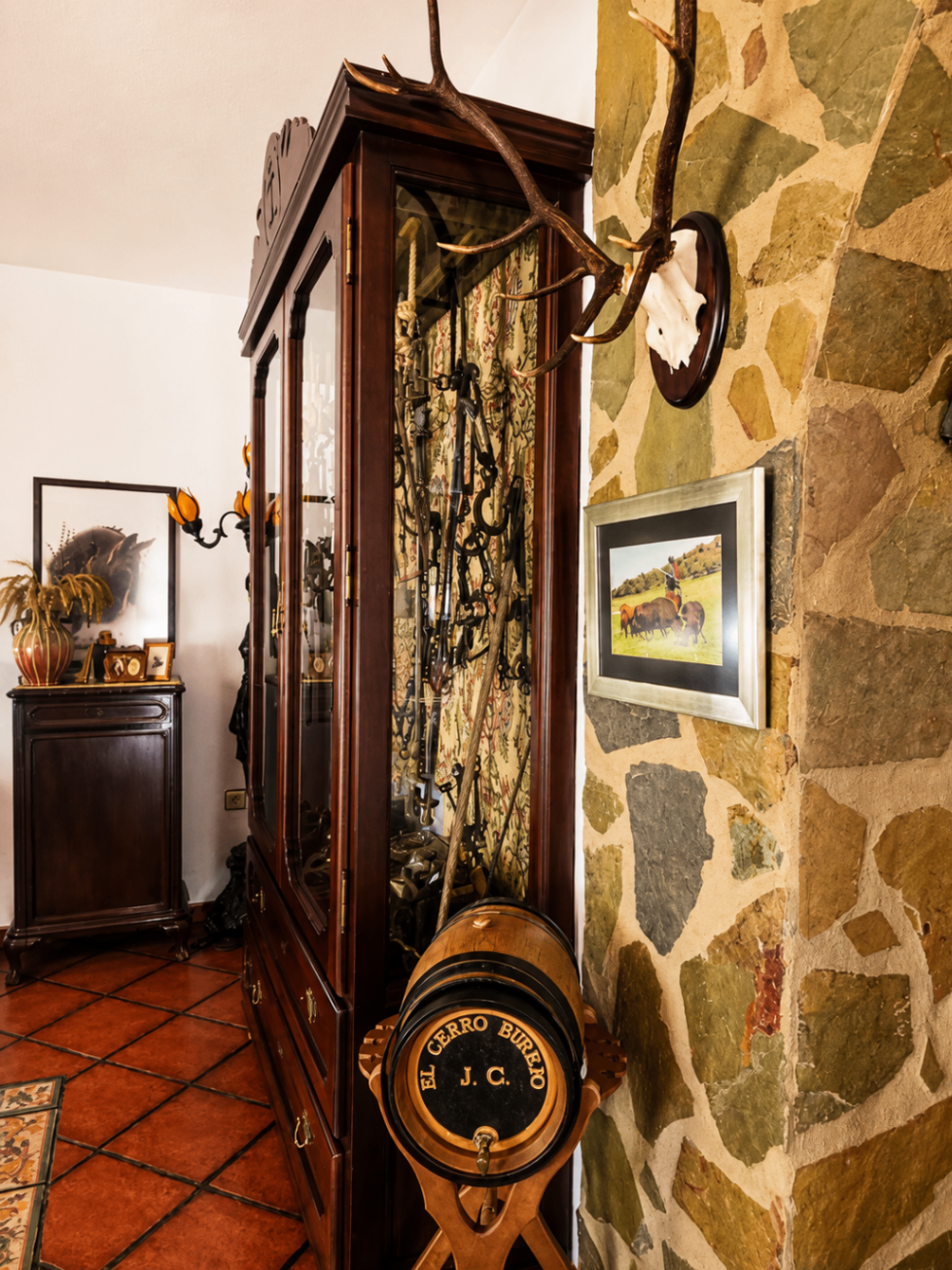 CERRO BUREJO — Interiores 8