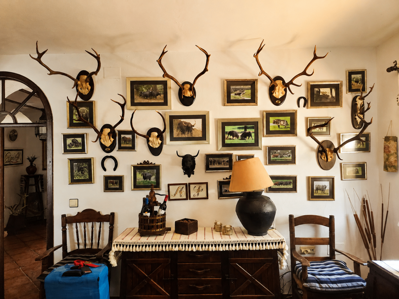 CERRO BUREJO — Interiores 14